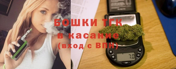 mdpv Богородицк