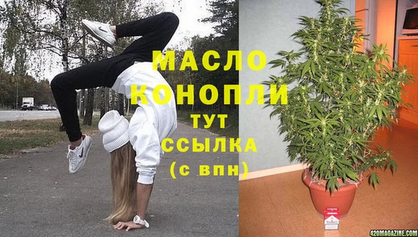 mdpv Богородицк