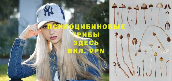 сатива Бронницы