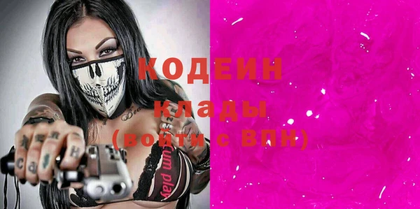 спиды Бородино